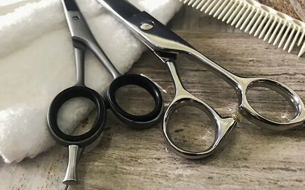 EJINBARA1979の内観